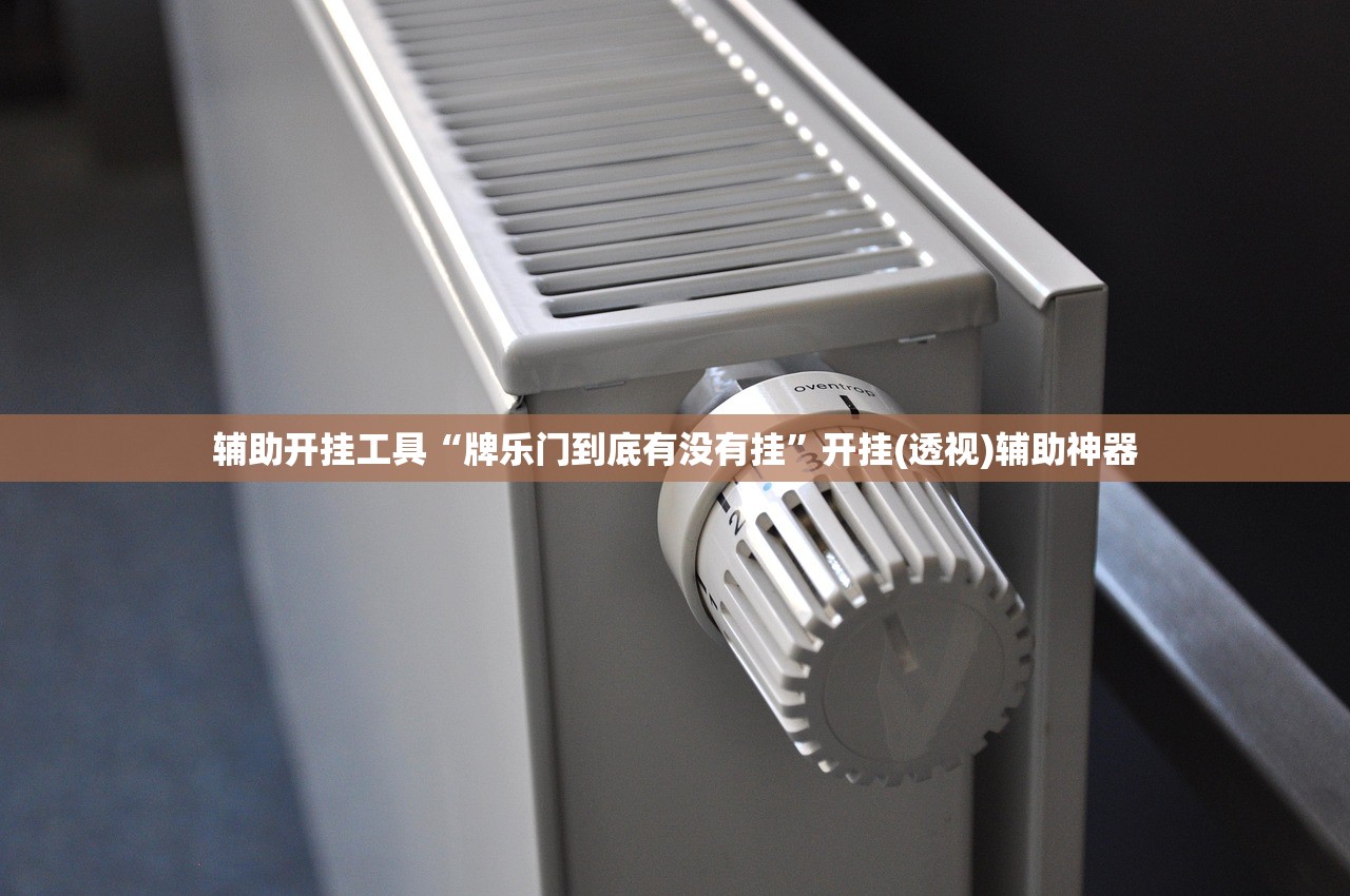 教程辅助!新战皇大厅辅助透视挂”(辅助神器)开挂详细教程