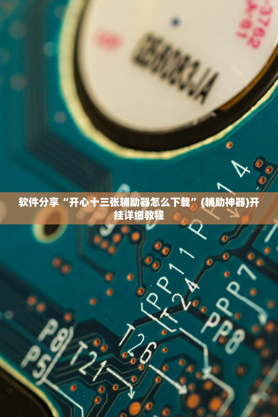 教程辅助!“手机跑得快破解万能挂”开挂(透视)辅助神器