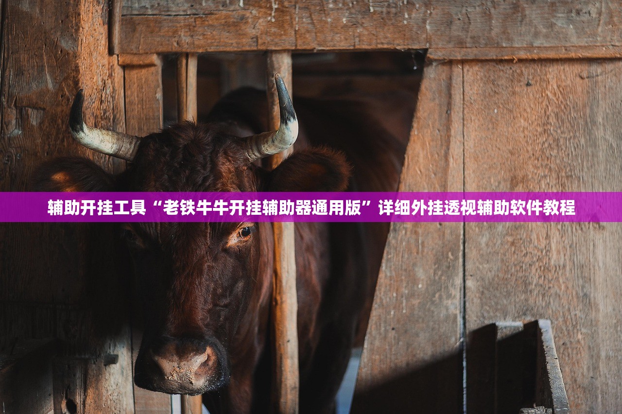 一键必胜“哥哥打大a外卦”(透视)其实确实有挂