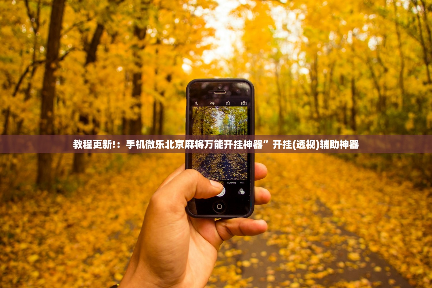 开挂技巧“衡阳丫丫字牌有挂吗”开挂辅助脚本+详细开挂安装教程