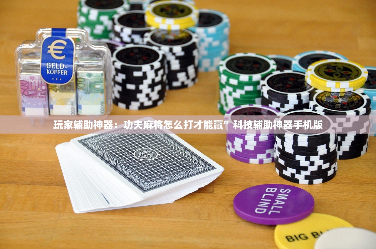 玩家辅助神器：功夫麻将怎么打才能赢	”科技辅助神器手机版