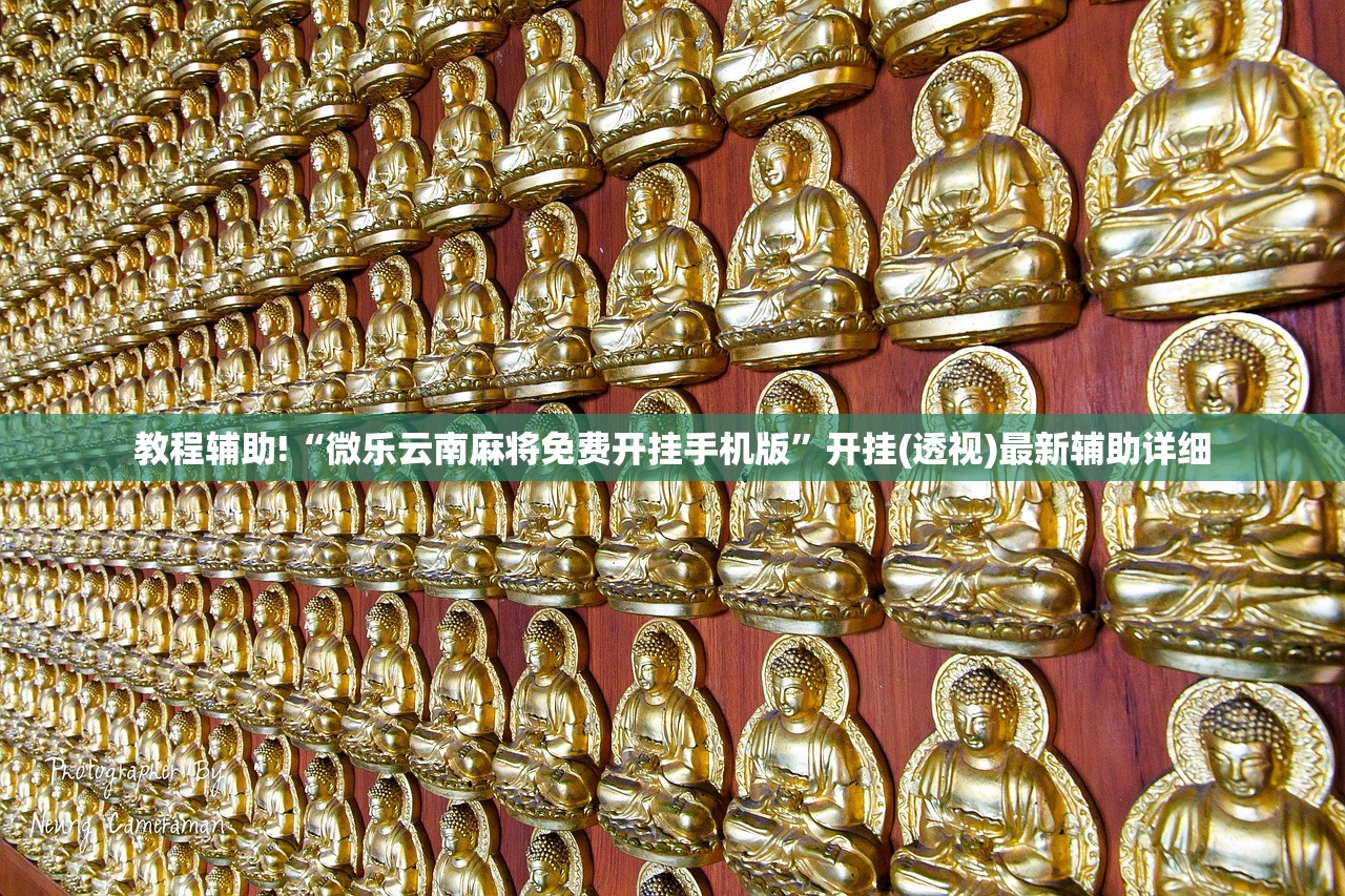 教程辅助!“微乐云南麻将免费开挂手机版”开挂(透视)最新辅助详细