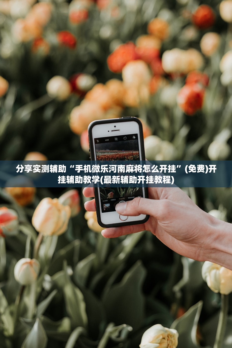 分享实测辅助“手机微乐河南麻将怎么开挂”(免费)开挂辅助教学(最新辅助开挂教程)
