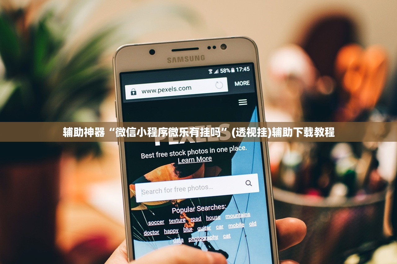 辅助神器“微信小程序微乐有挂吗”(透视挂)辅助下载教程