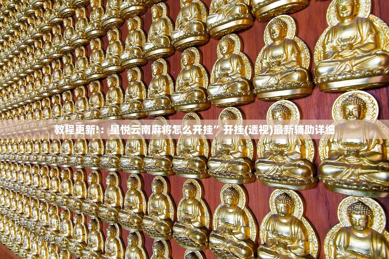 教程更新!：星悦云南麻将怎么开挂	”开挂(透视)最新辅助详细