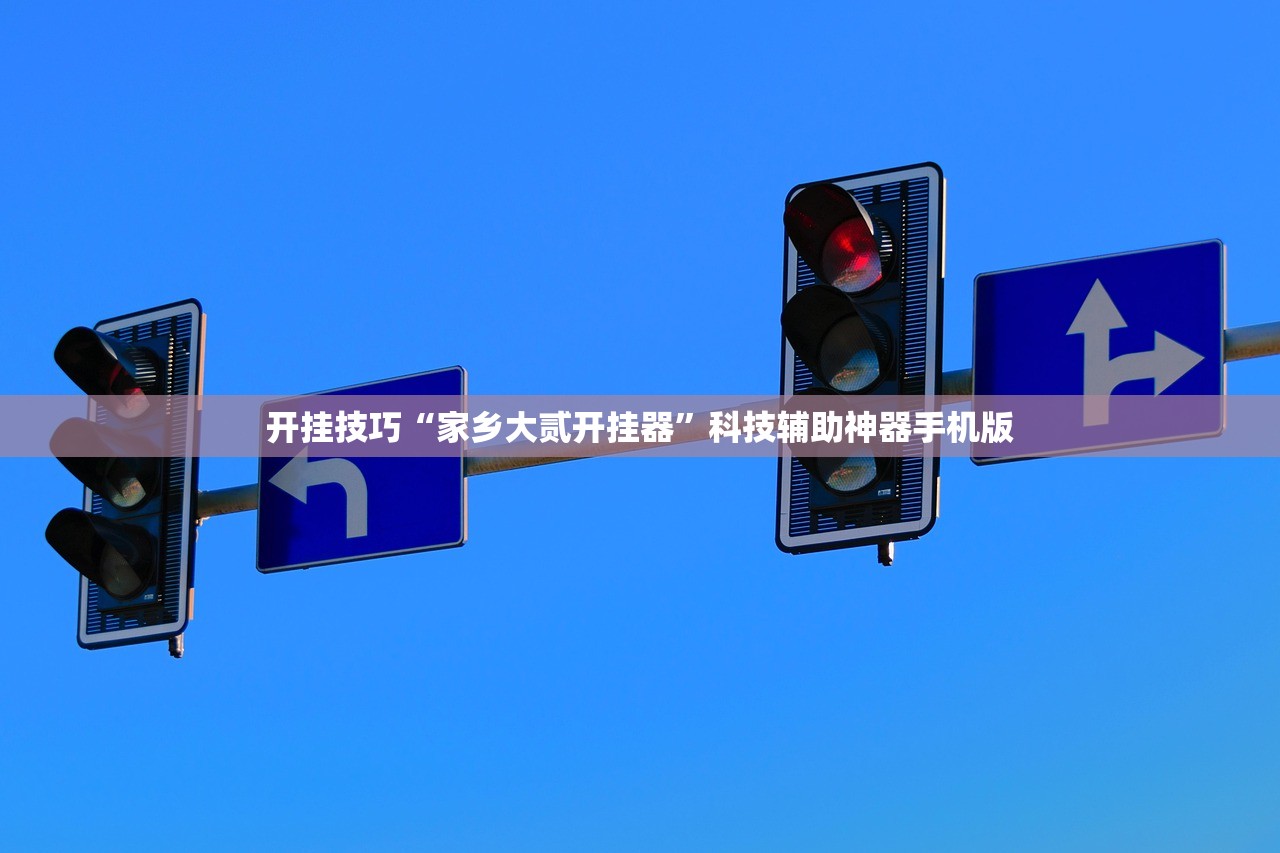 开挂技巧“家乡大贰开挂器”科技辅助神器手机版