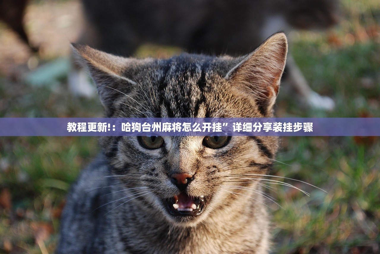 辅助开挂工具“中至打炸辅助器骗局”开挂辅助脚本+详细开挂安装教程
