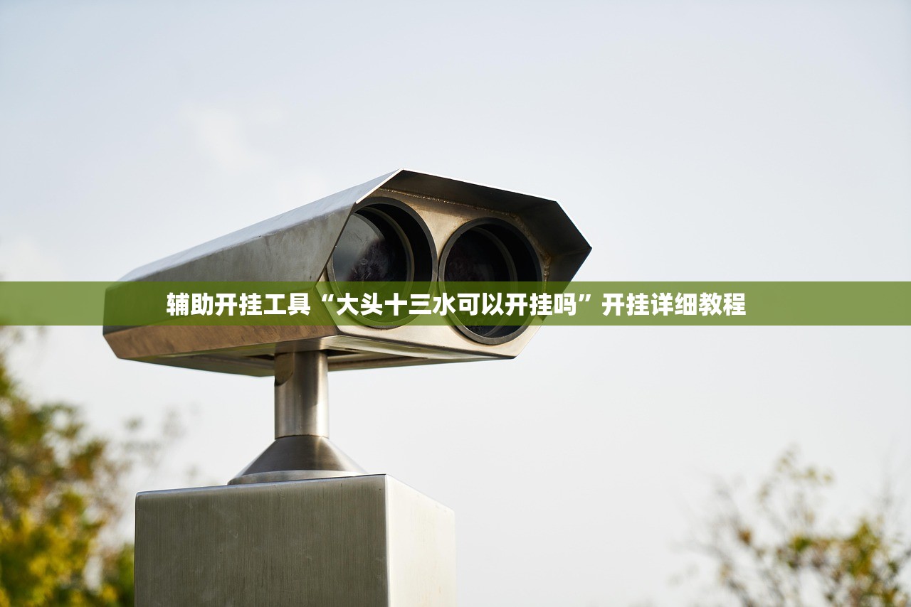 辅助开挂工具“大头十三水可以开挂吗”开挂详细教程