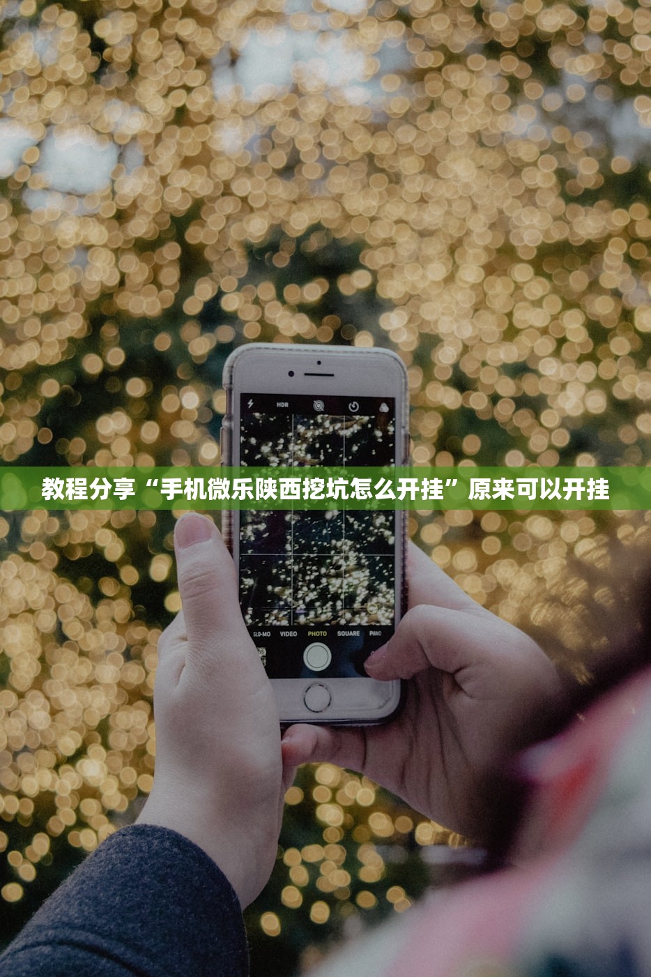 教程分享“手机微乐陕西挖坑怎么开挂”原来可以开挂