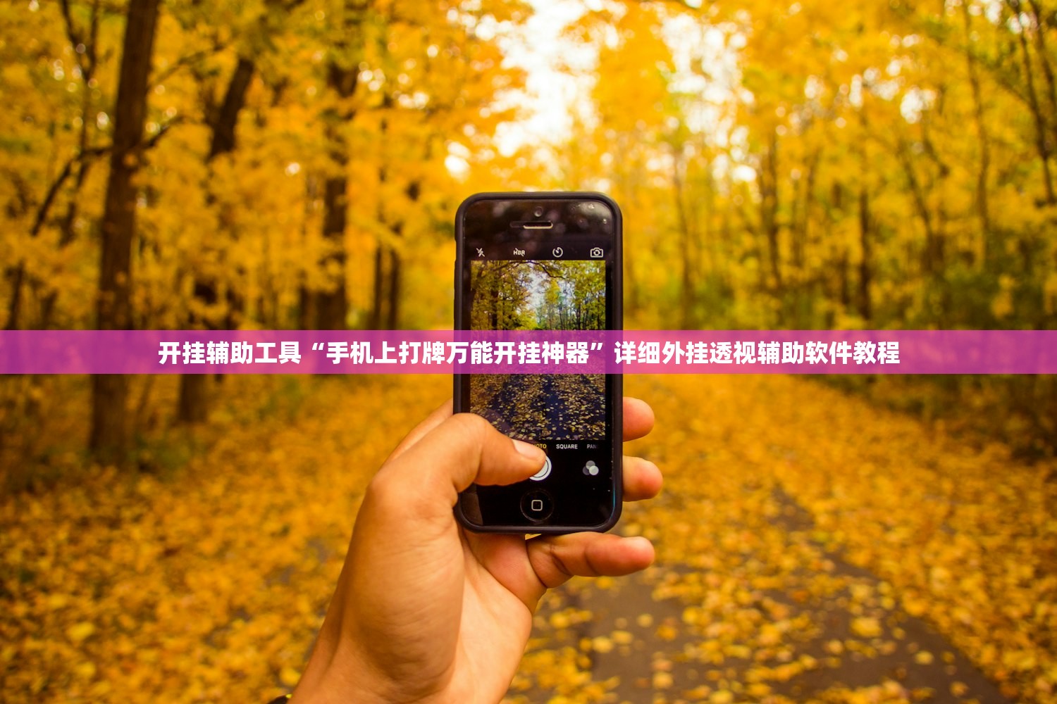 依维柯房车费用及图片:依维柯房车费用及图片2022最新款