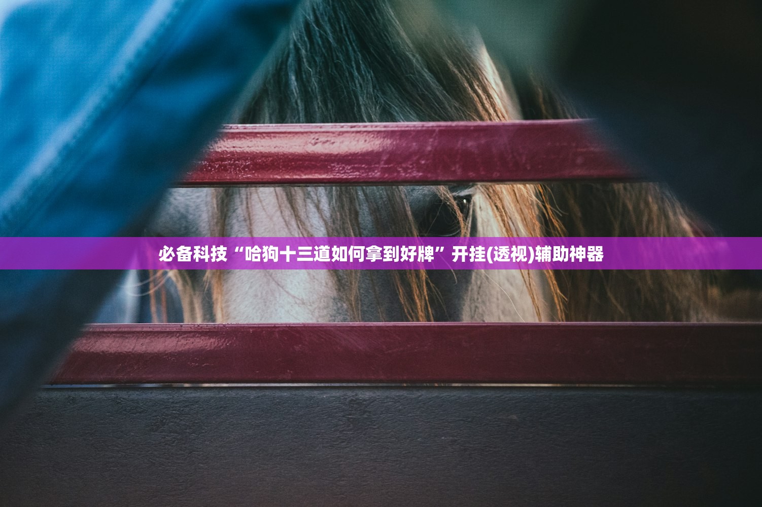 助赢神器“小南麻将开挂是真的吗”开挂详细教程