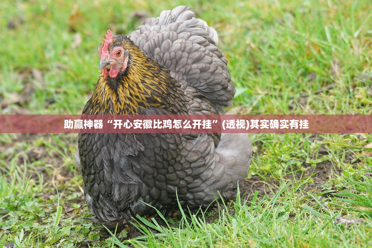 强力推荐“东阳四副牌出牌技巧”其实确实有挂