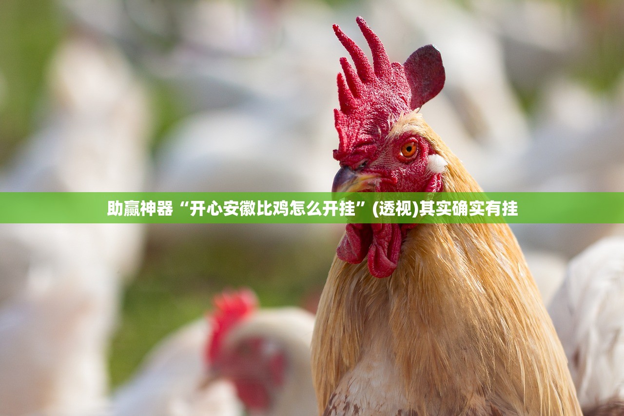 助赢神器“开心安徽比鸡怎么开挂”(透视)其实确实有挂