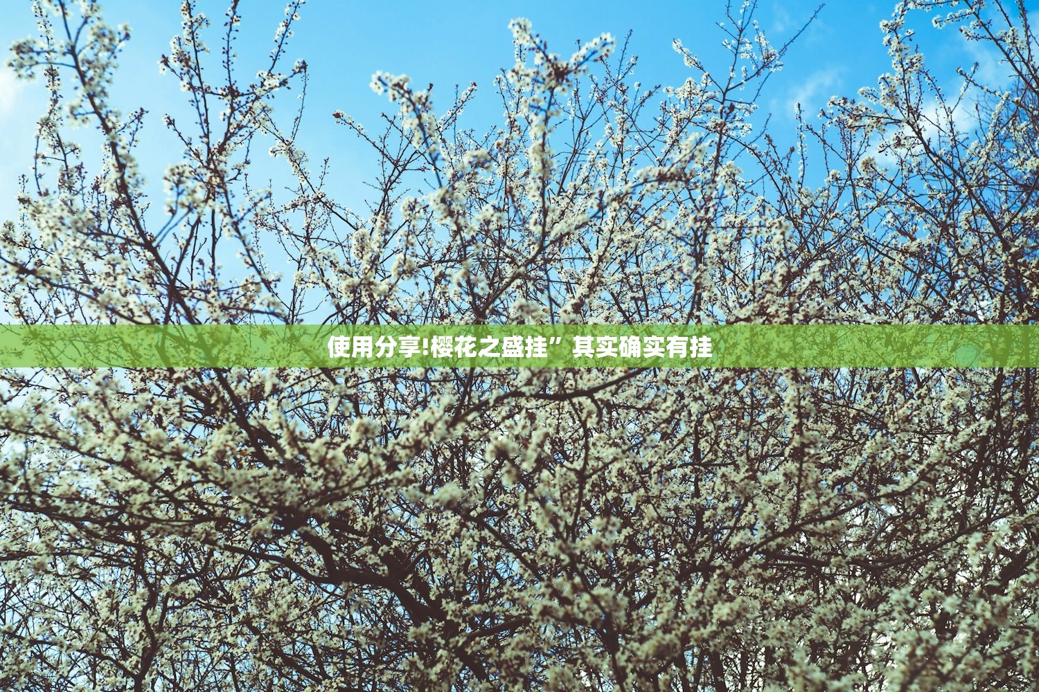 教程更新!：微信小程序微乐浙江麻将外卦辅助软件下载”详细分享装挂步骤
