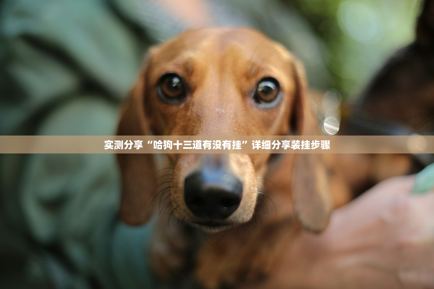 【北京新增境外输入病例11例,北京新增境外输入病例详情】