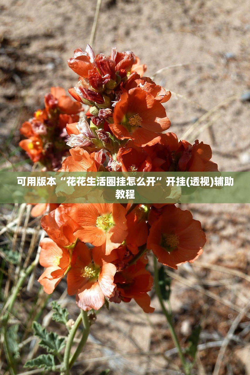 车型号怎么看/自行车型号怎么看
