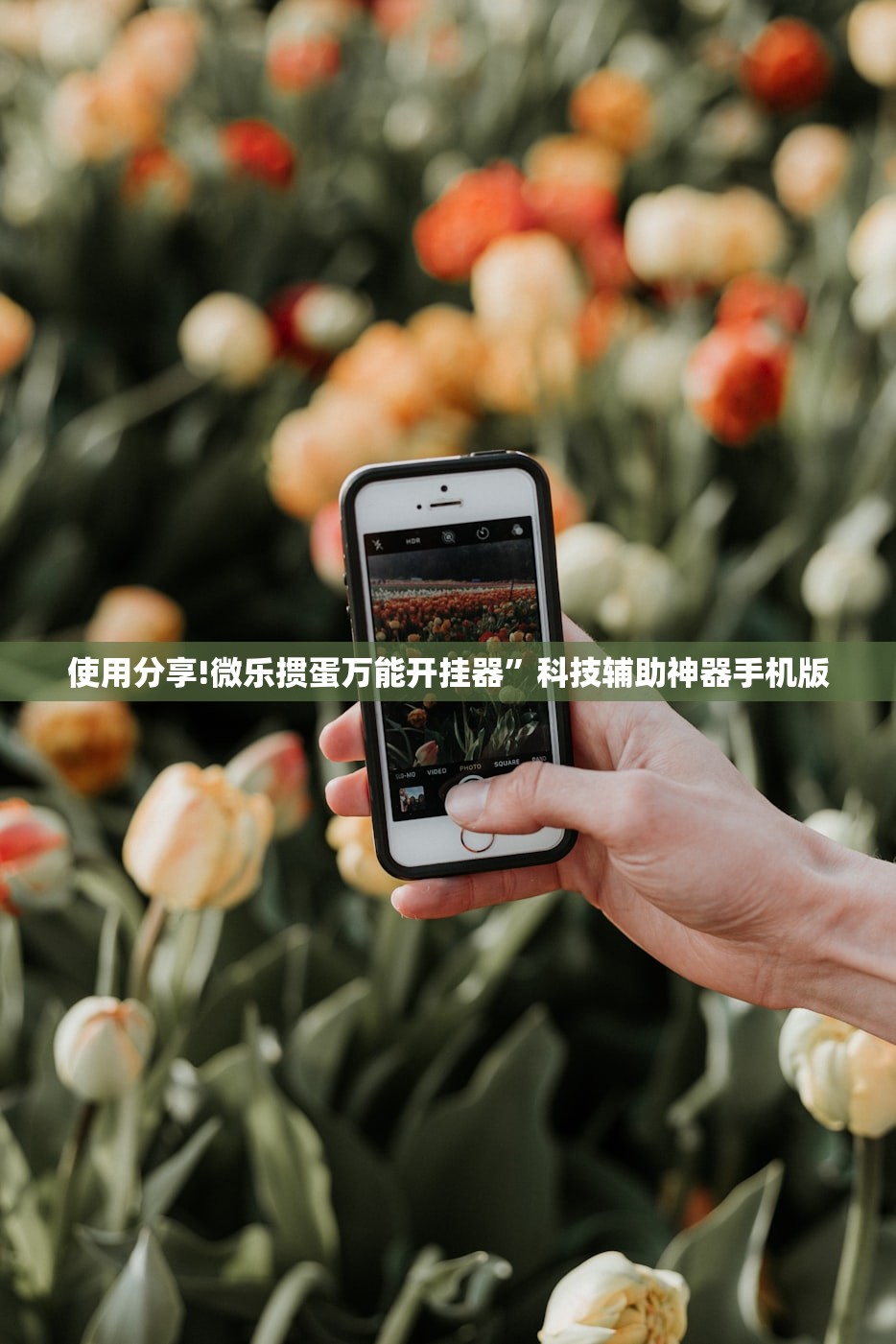 使用分享!微乐掼蛋万能开挂器”科技辅助神器手机版