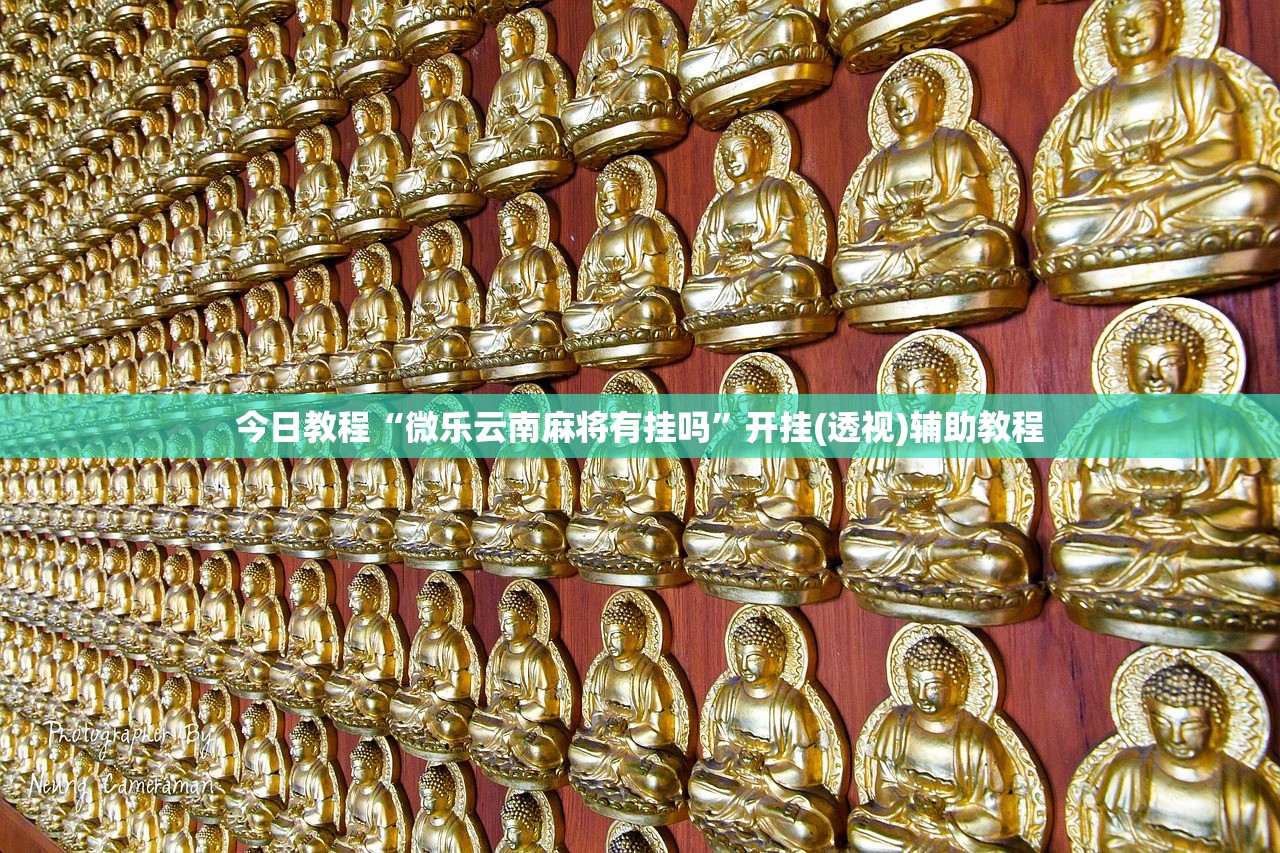 今日教程“微乐云南麻将有挂吗	”开挂(透视)辅助教程