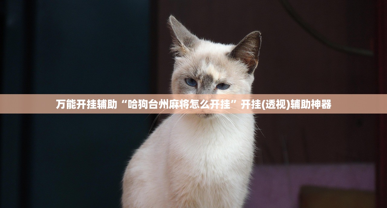 教程更新!：小南娱乐开挂安装免费软件”开挂详细教程