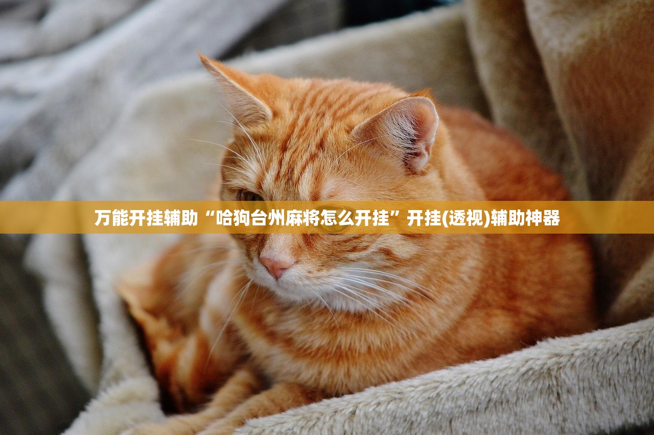 万能开挂辅助“哈狗台州麻将怎么开挂”开挂(透视)辅助神器