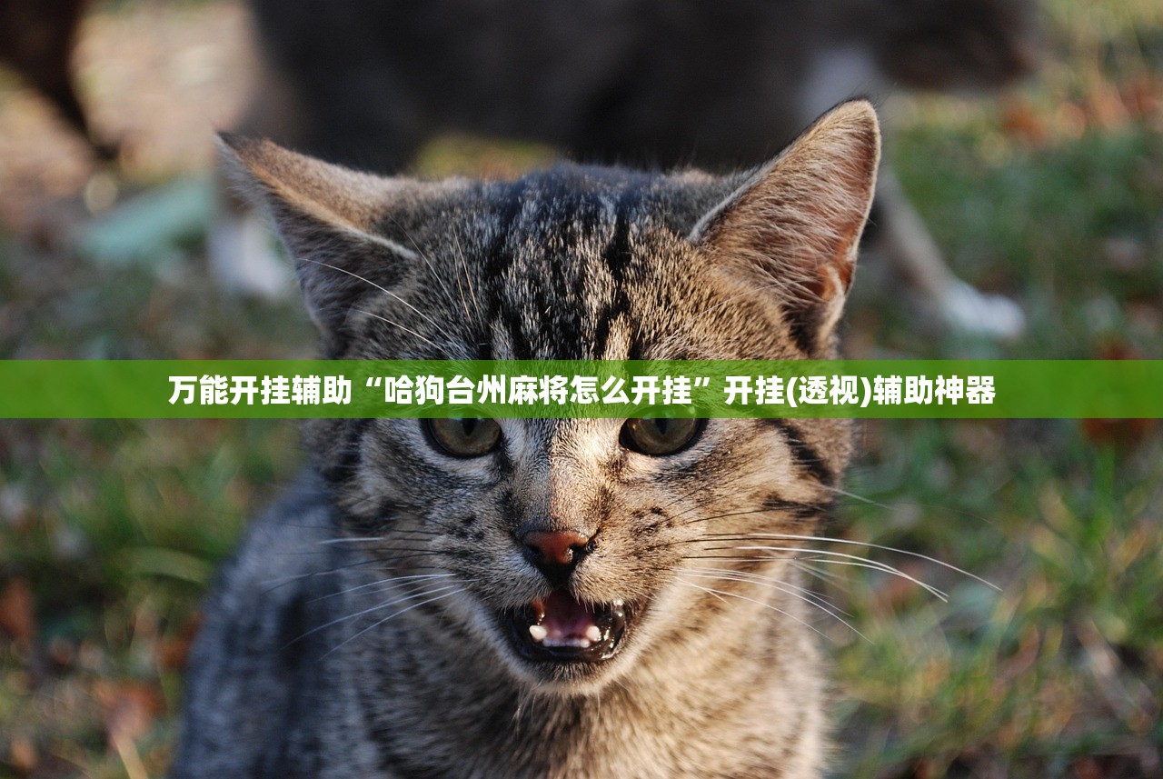 万能开挂辅助“哈狗台州麻将怎么开挂	”开挂(透视)辅助神器
