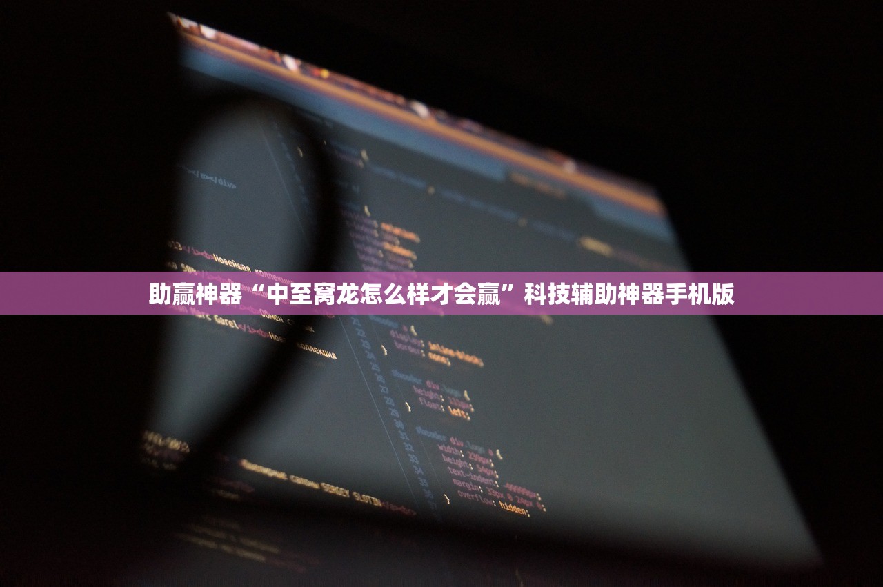助赢神器“中至窝龙怎么样才会赢”科技辅助神器手机版