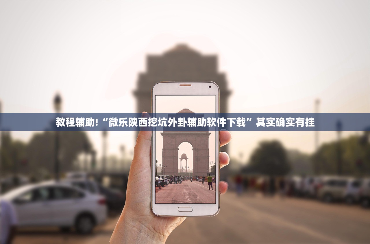 教程辅助!“微乐陕西挖坑外卦辅助软件下载	”其实确实有挂