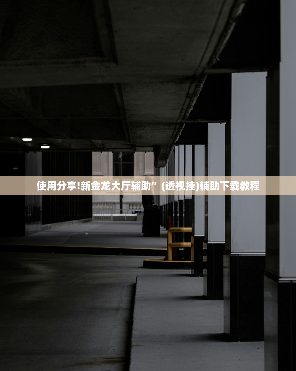 使用分享!新金龙大厅辅助”(透视挂)辅助下载教程