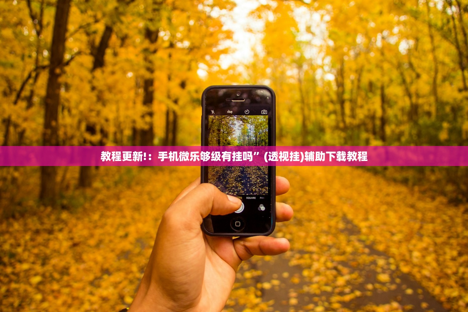 教程更新!：手机微乐够级有挂吗”(透视挂)辅助下载教程