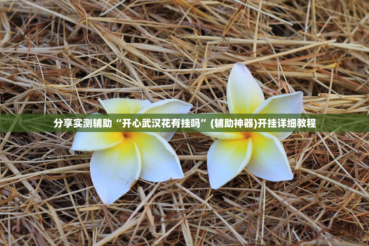 教程辅助!推筒子游戏有没有挂”详细分享装挂步骤