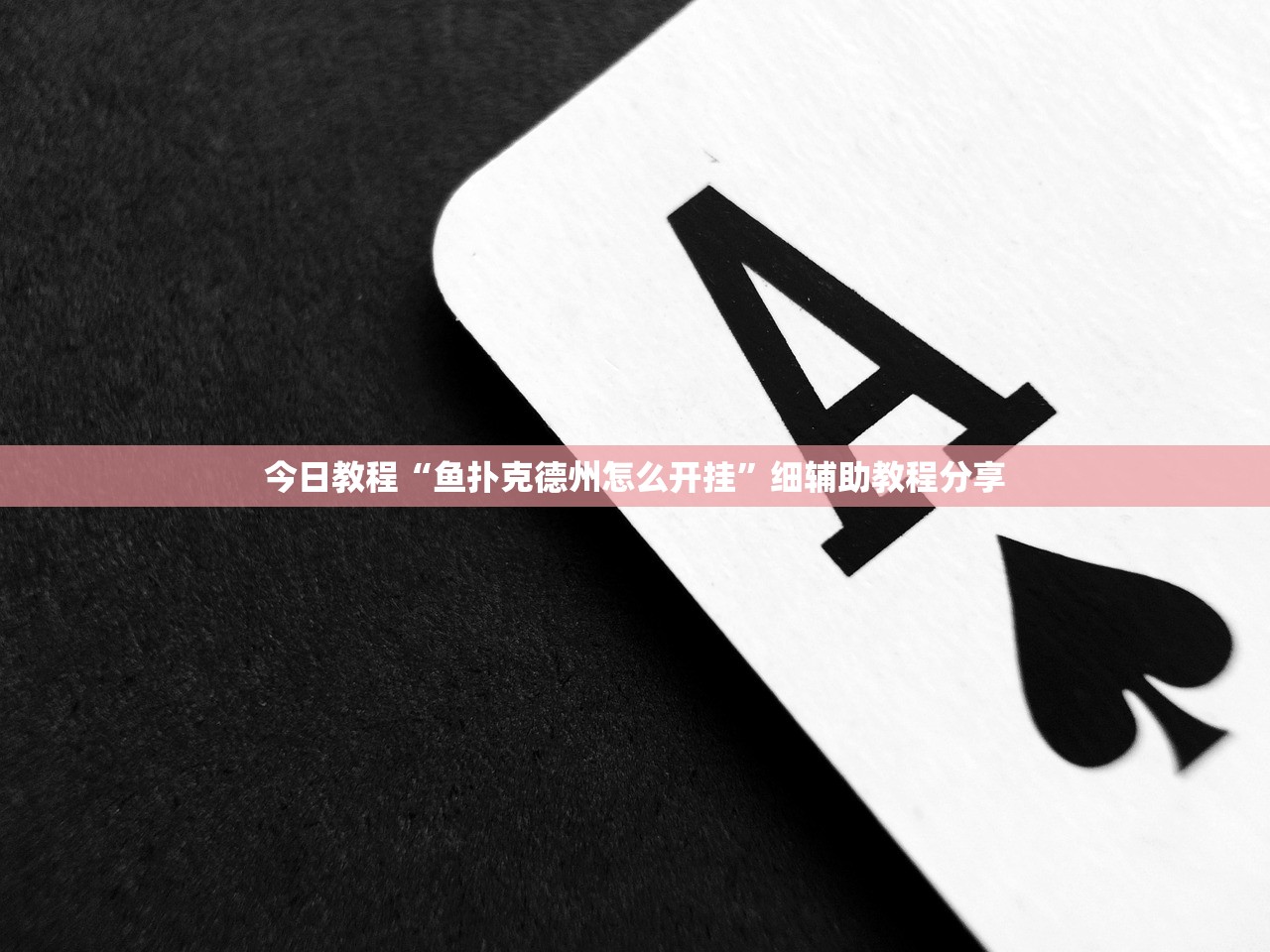 今日教程“鱼扑克德州怎么开挂”细辅助教程分享