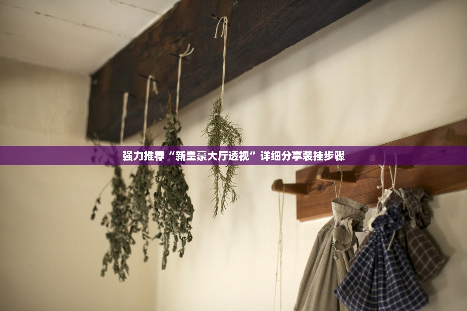 强力推荐“新皇豪大厅透视”详细分享装挂步骤