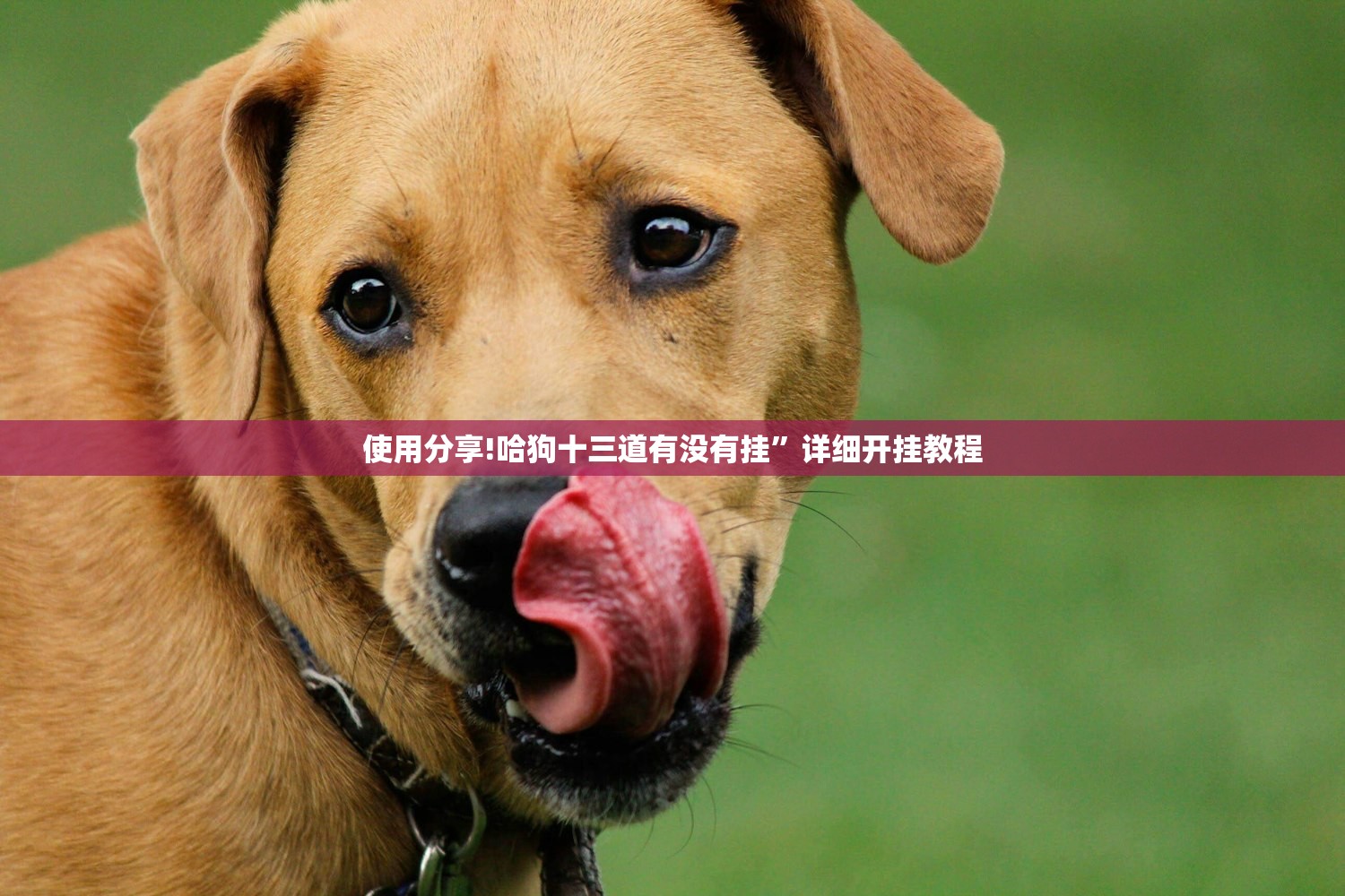 电动车不上牌会怎么样:苏州电动车不上牌会怎么样