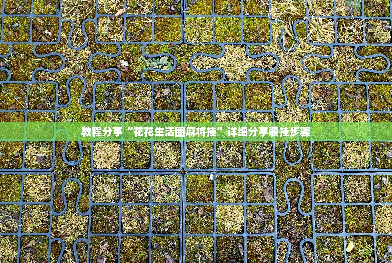 教程分享“花花生活圈麻将挂”详细分享装挂步骤