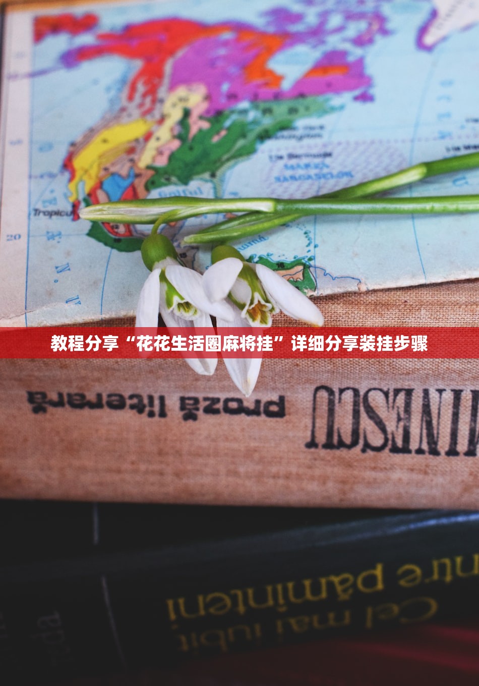 教程分享“花花生活圈麻将挂”详细分享装挂步骤