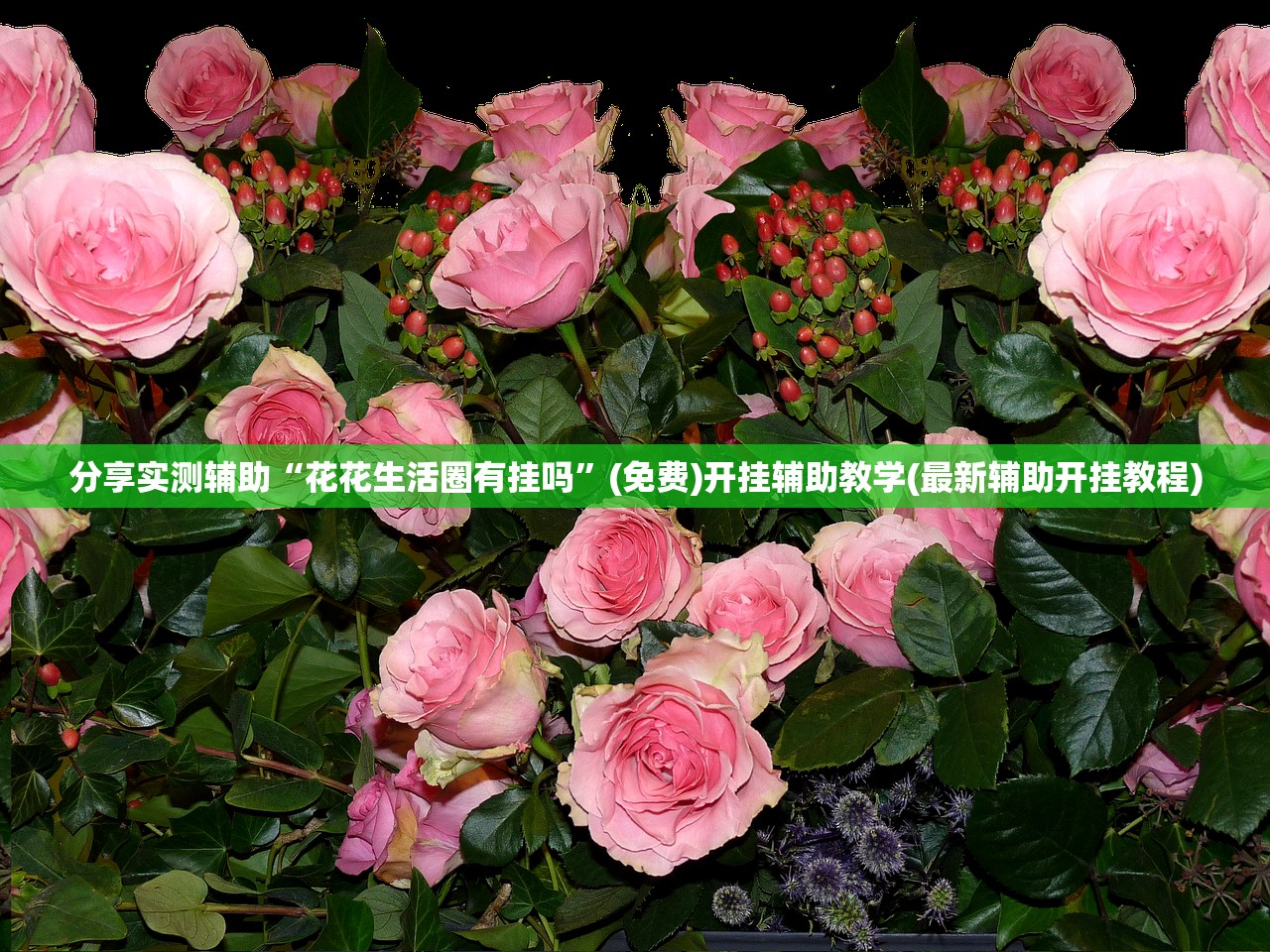 今日教程“国民斗地主有挂吗”细辅助教程分享