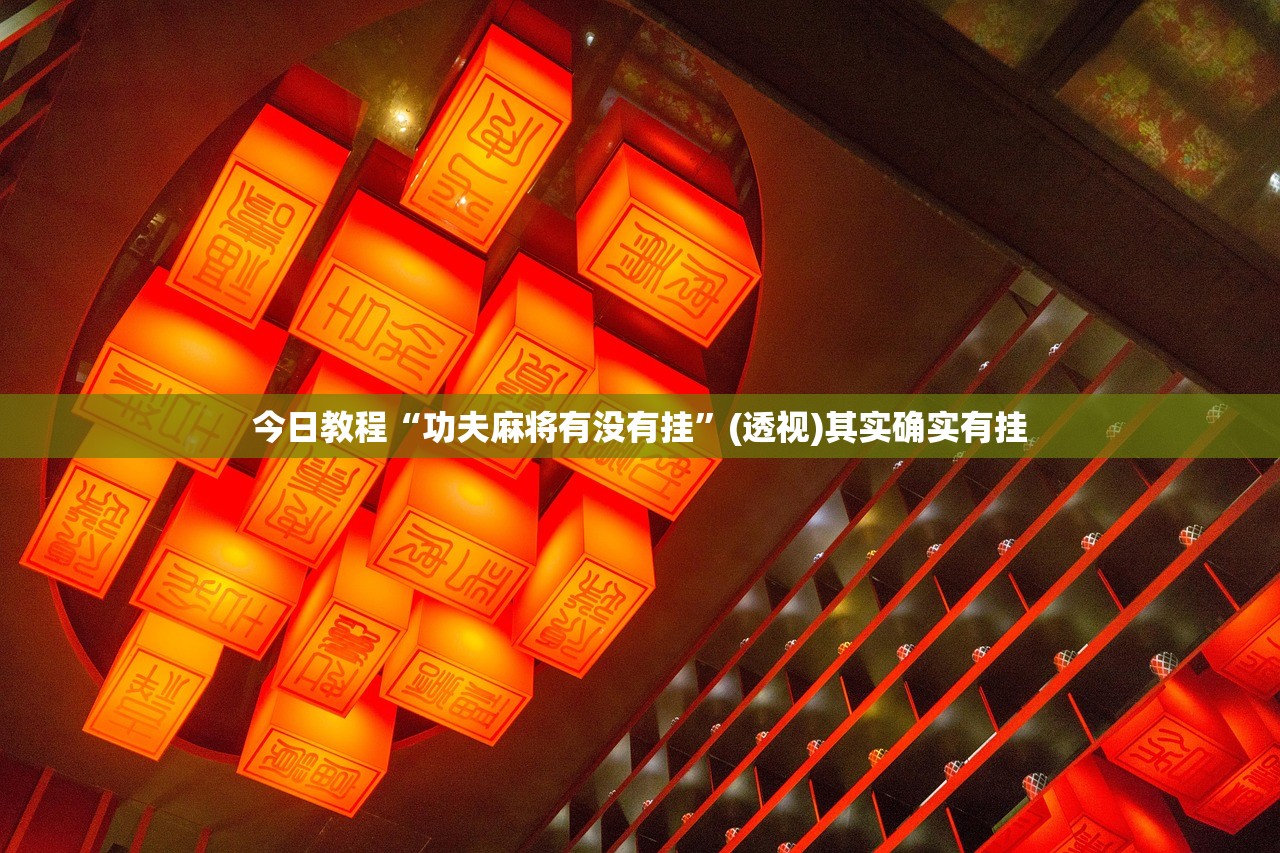 今日教程“功夫麻将有没有挂”(透视)其实确实有挂