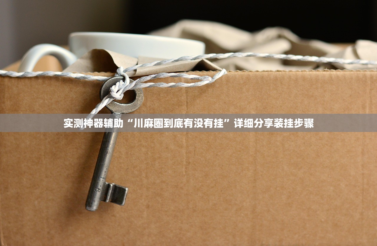 实测神器辅助“川麻圈到底有没有挂	”详细分享装挂步骤