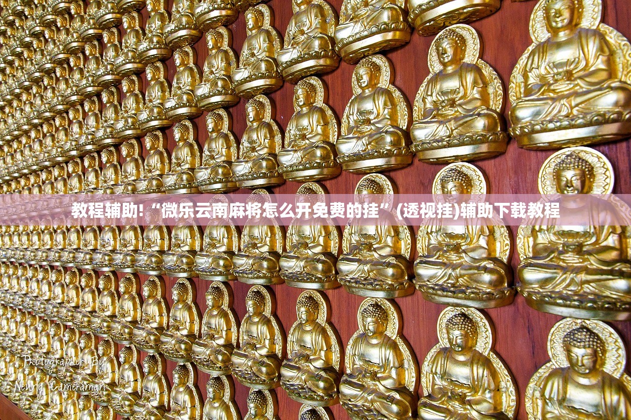 教程辅助!“微乐云南麻将怎么开免费的挂”(透视挂)辅助下载教程