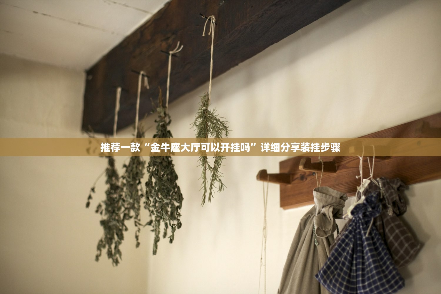 推荐一款“金牛座大厅可以开挂吗	”详细分享装挂步骤