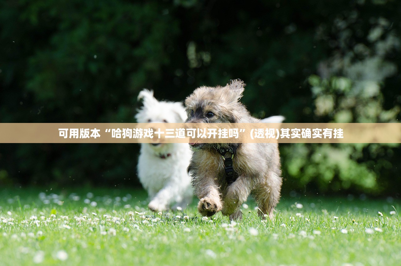 可用版本“哈狗游戏十三道可以开挂吗	”(透视)其实确实有挂