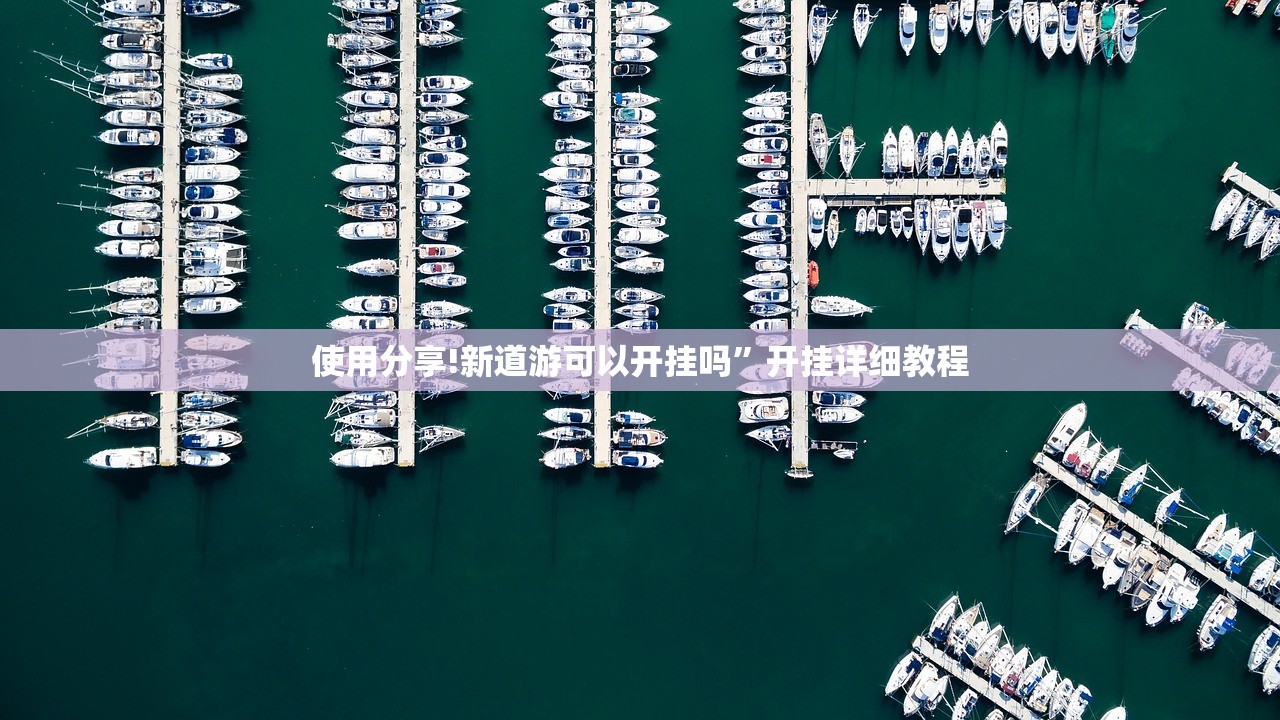 使用分享!新道游可以开挂吗”开挂详细教程