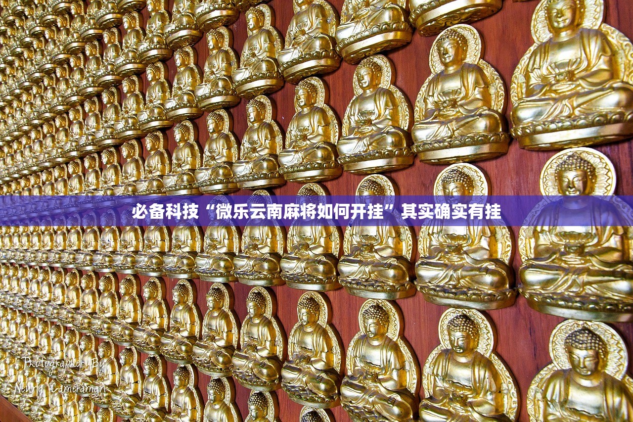 必备科技“微乐云南麻将如何开挂”其实确实有挂