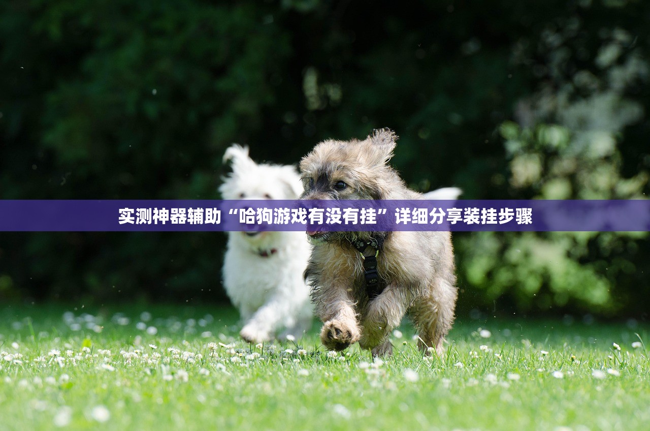实测辅助“东阳四副牌出牌技巧”开挂详细教程
