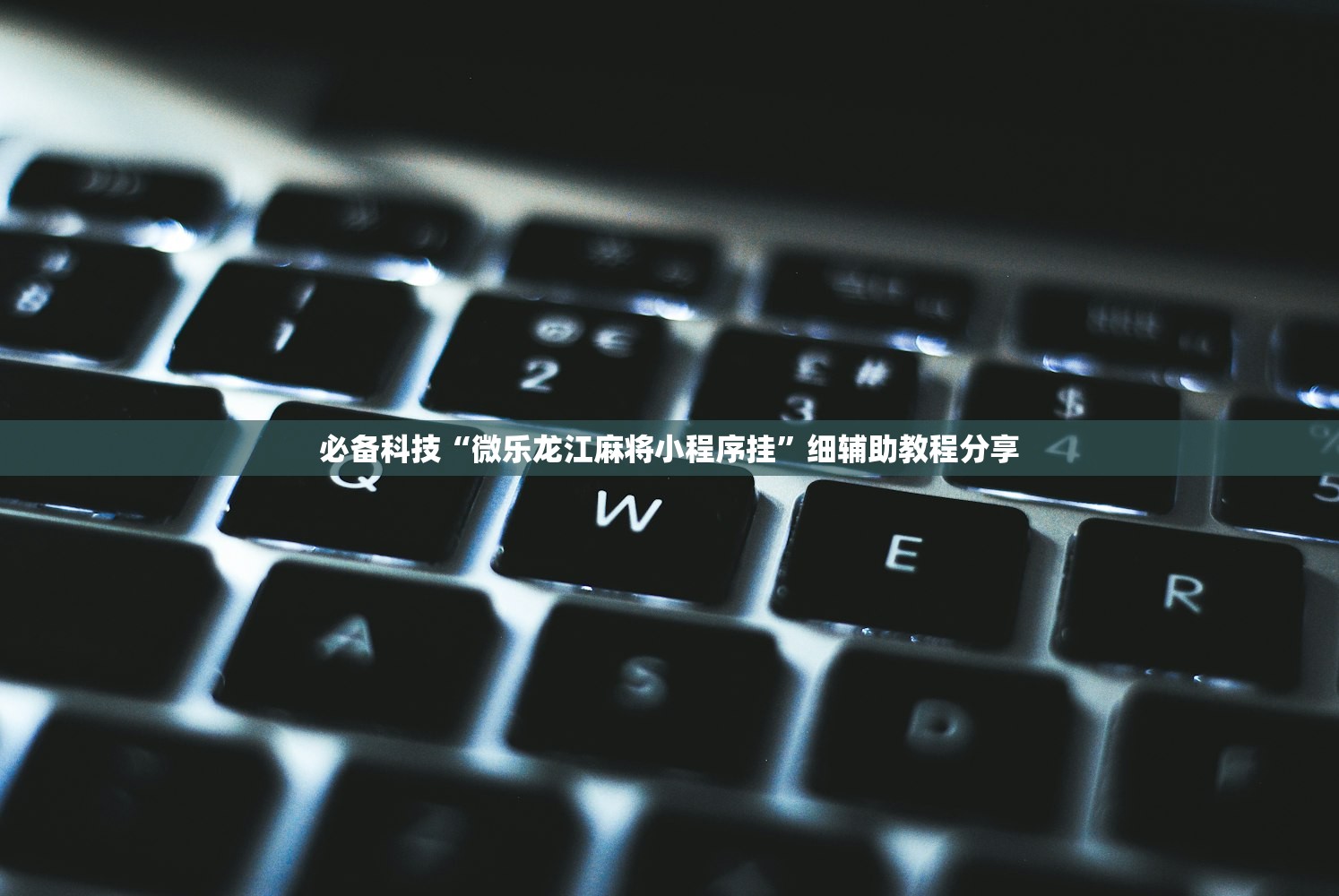 必备科技“微乐龙江麻将小程序挂”细辅助教程分享