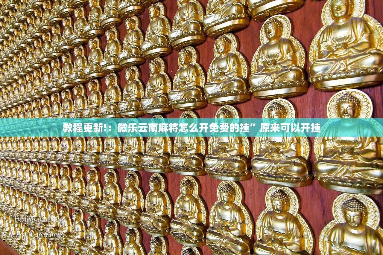 【上海公布3例本土病例溯源结果,上海公布3例本土病例溯源结果】