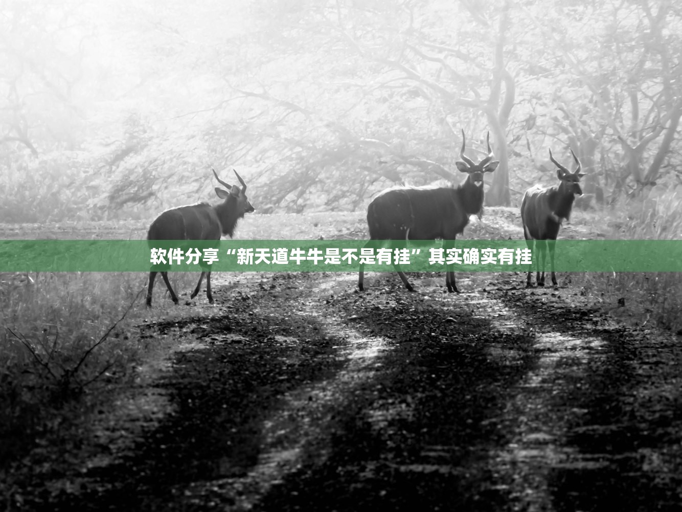 推荐一款“中至开挂神器”(透视挂)辅助下载教程