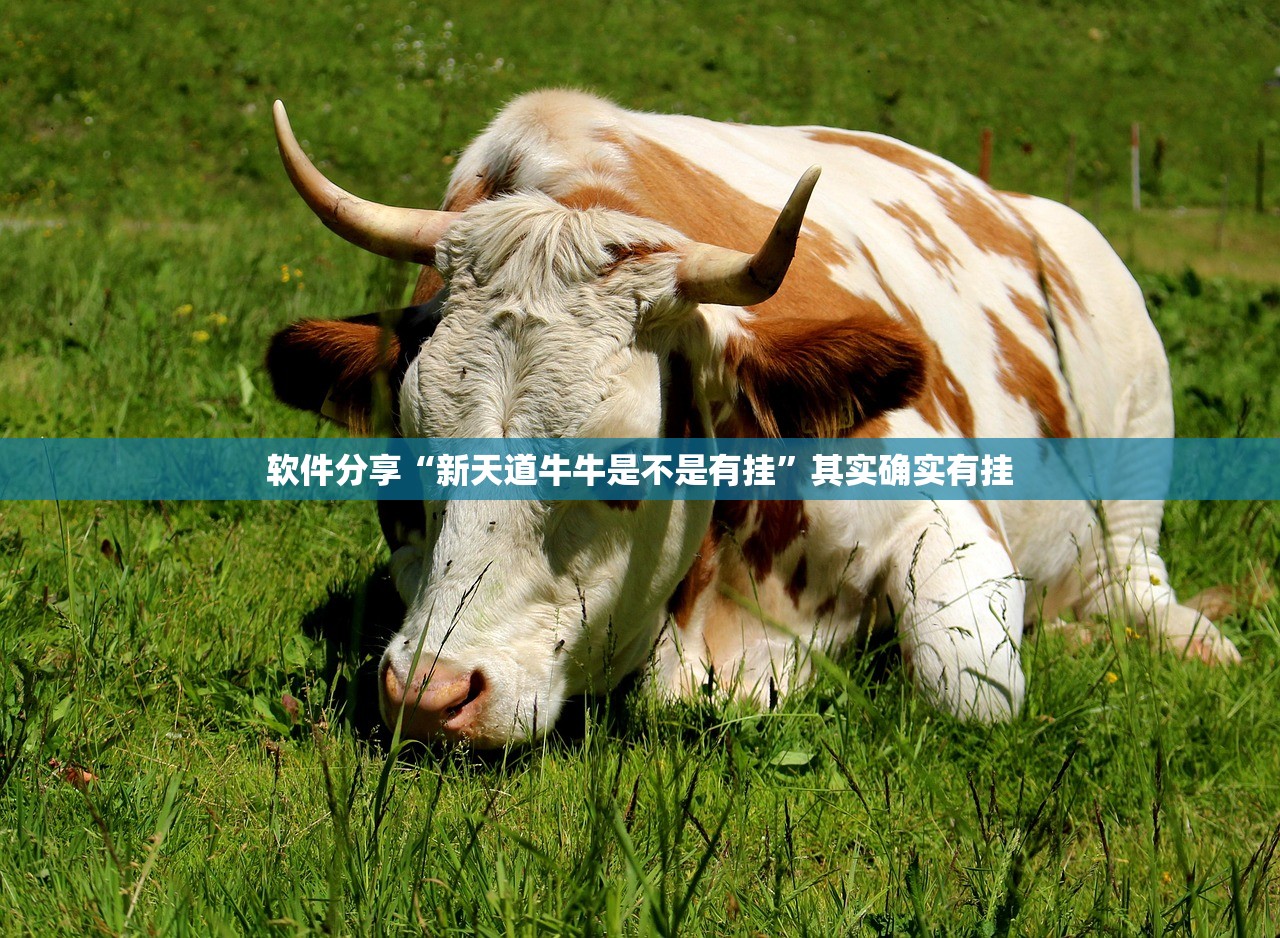 软件分享“新天道牛牛是不是有挂”其实确实有挂