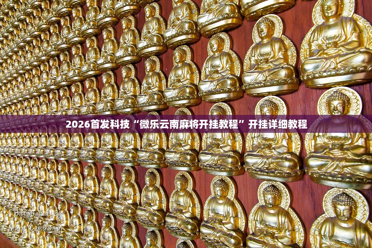 2026首发科技“微乐云南麻将开挂教程	”开挂详细教程