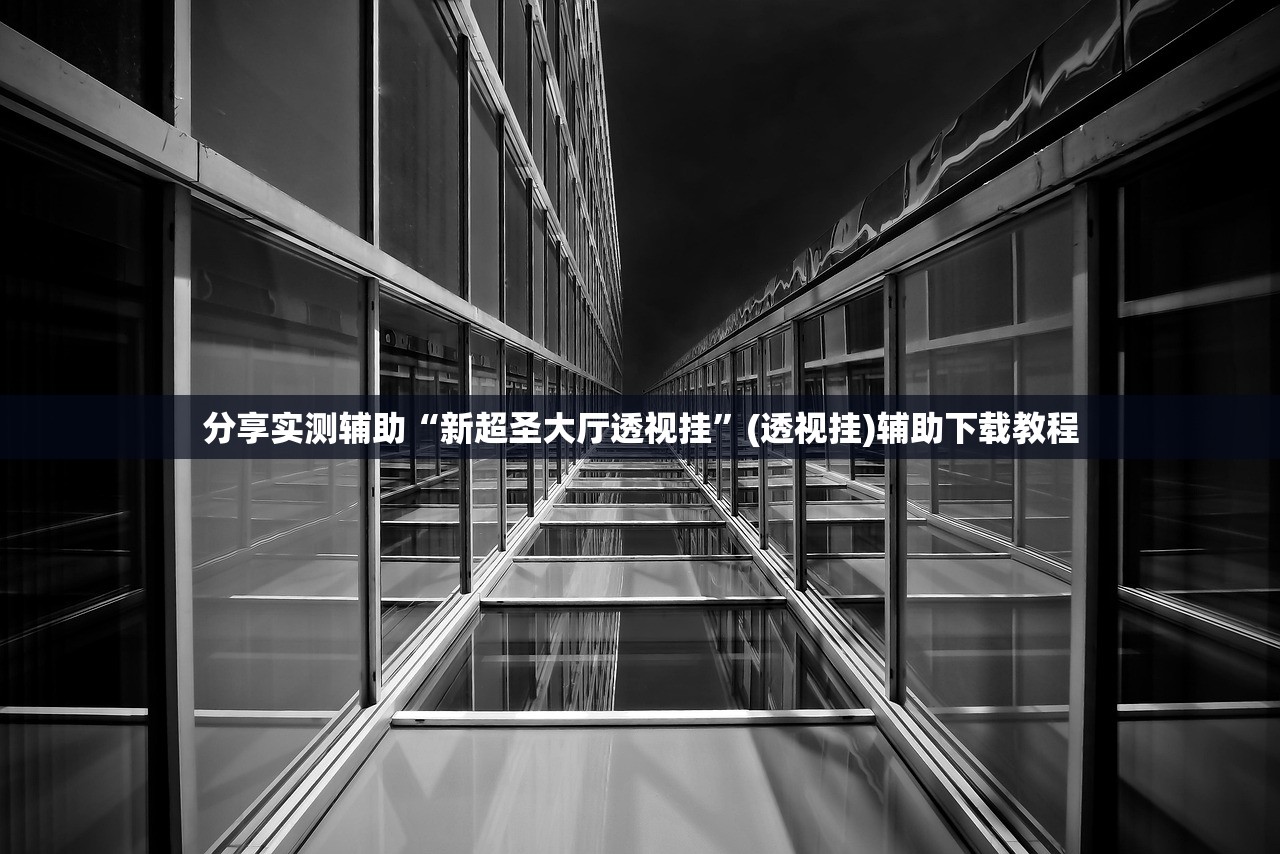 分享实测辅助“新超圣大厅透视挂	”(透视挂)辅助下载教程